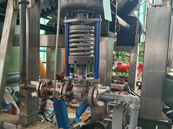 Filtro per la disulfurizzazione del gas naturale Filtro per la disulfurizzazione del gas naturale